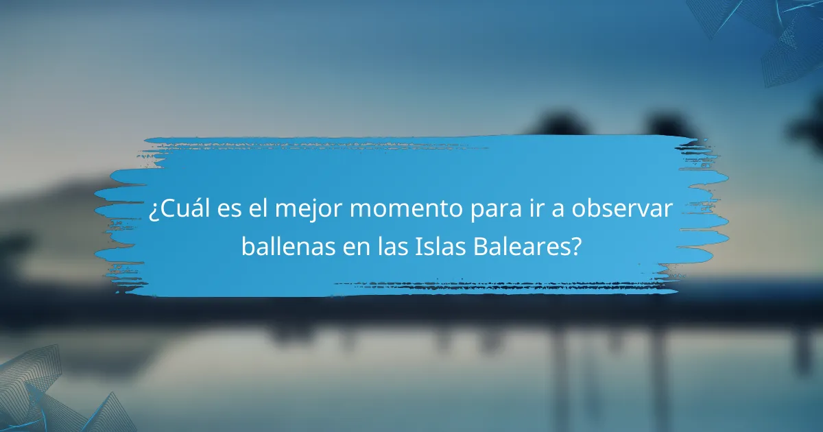 ¿Cuál es el mejor momento para ir a observar ballenas en las Islas Baleares?