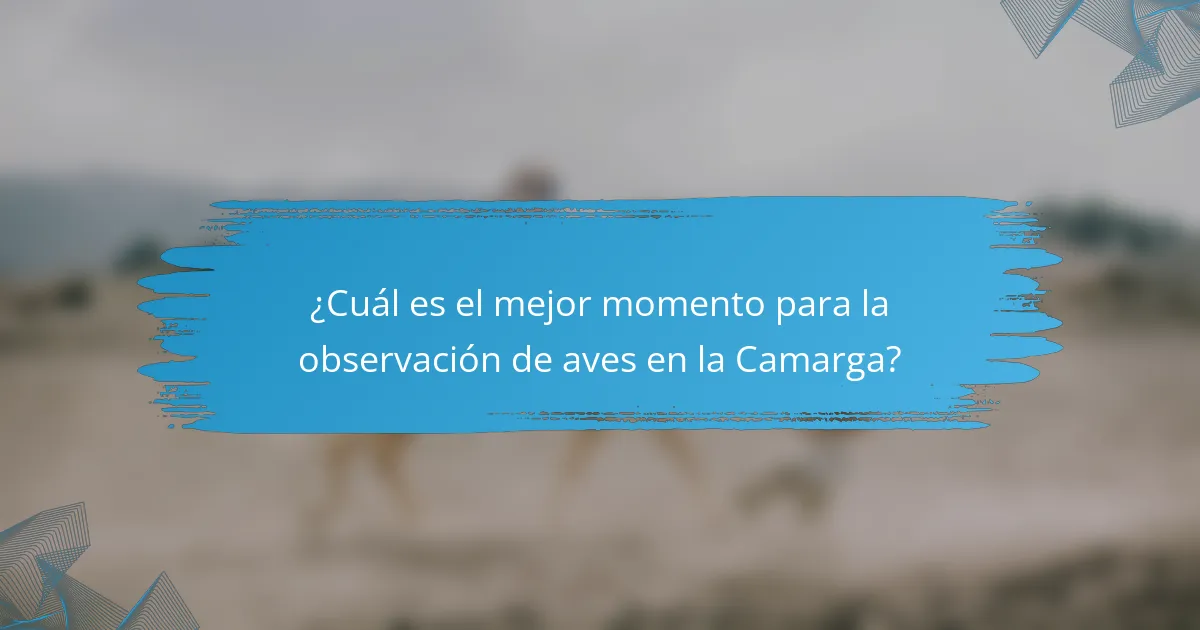 ¿Cuál es el mejor momento para la observación de aves en la Camarga?