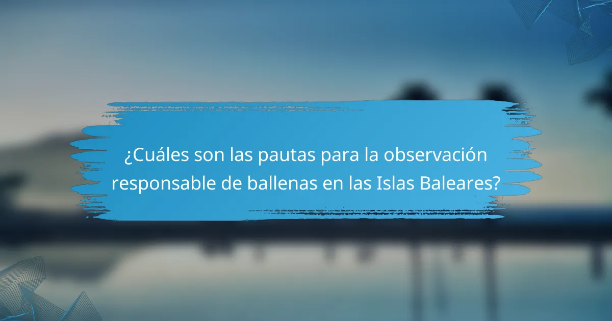 ¿Cuáles son las pautas para la observación responsable de ballenas en las Islas Baleares?