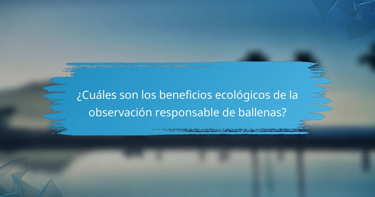 ¿Cuáles son los beneficios ecológicos de la observación responsable de ballenas?