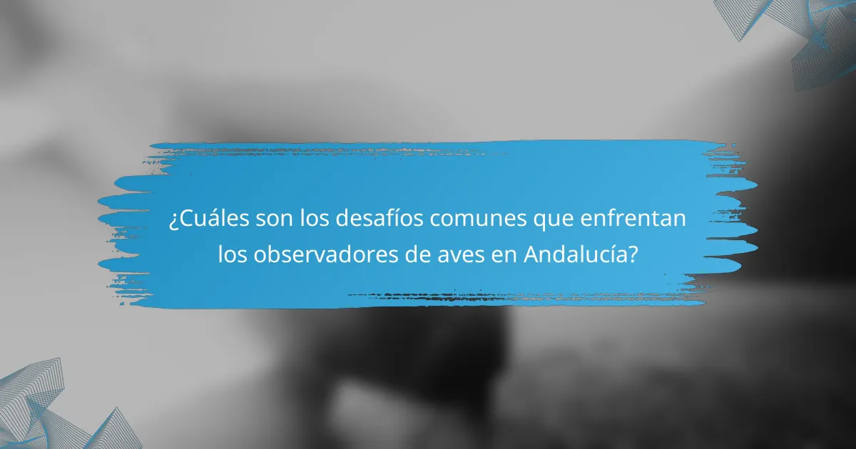 ¿Cuáles son los desafíos comunes que enfrentan los observadores de aves en Andalucía?