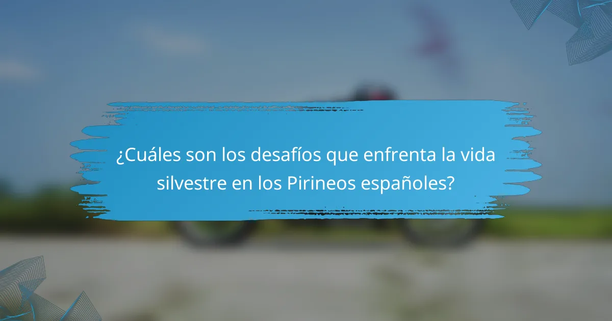 ¿Cuáles son los desafíos que enfrenta la vida silvestre en los Pirineos españoles?