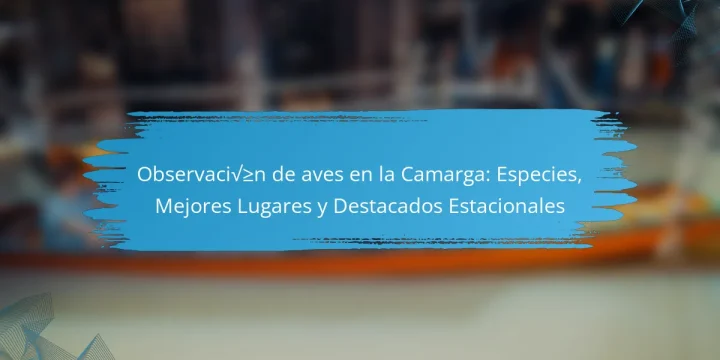 Observación de aves en la Camarga: Especies, Mejores Lugares y Destacados Estacionales