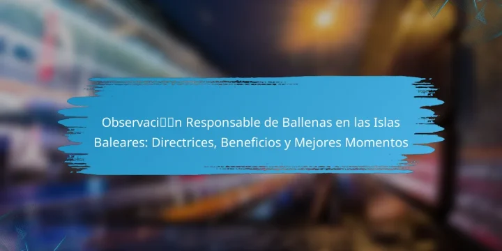 Observación Responsable de Ballenas en las Islas Baleares: Directrices, Beneficios y Mejores Momentos