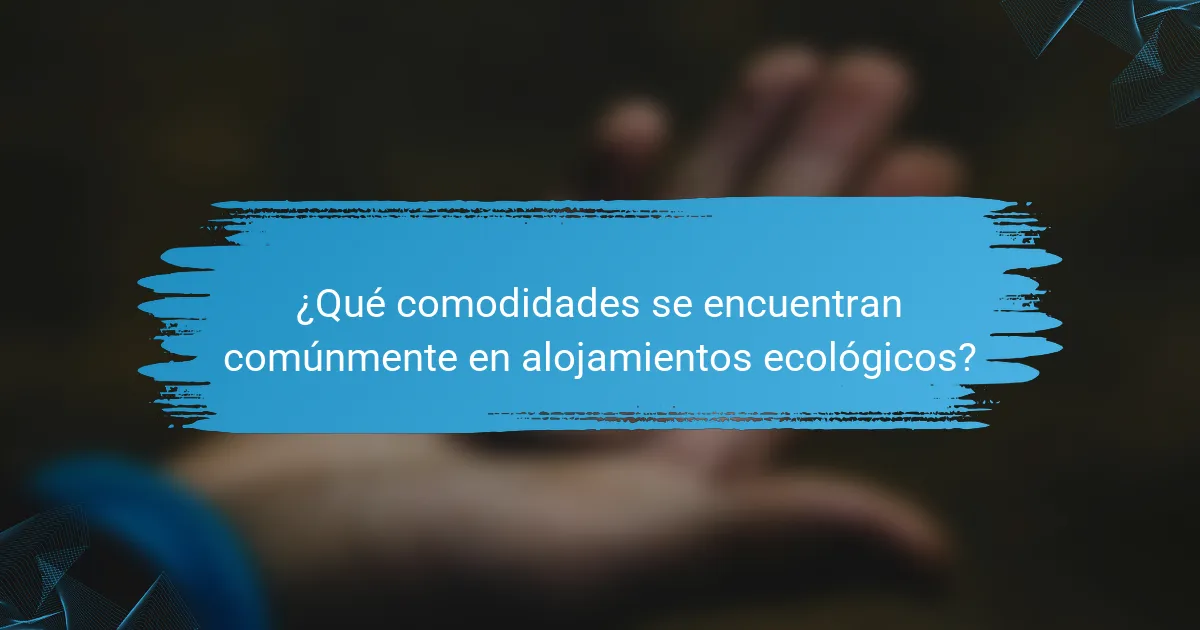 ¿Qué comodidades se encuentran comúnmente en alojamientos ecológicos?