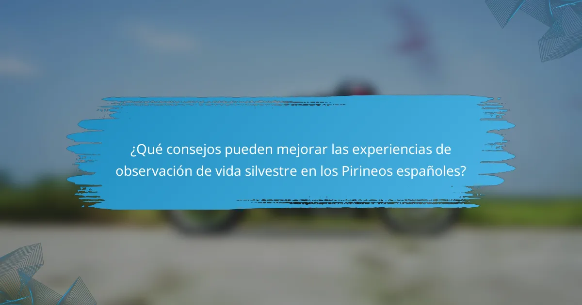 ¿Qué consejos pueden mejorar las experiencias de observación de vida silvestre en los Pirineos españoles?