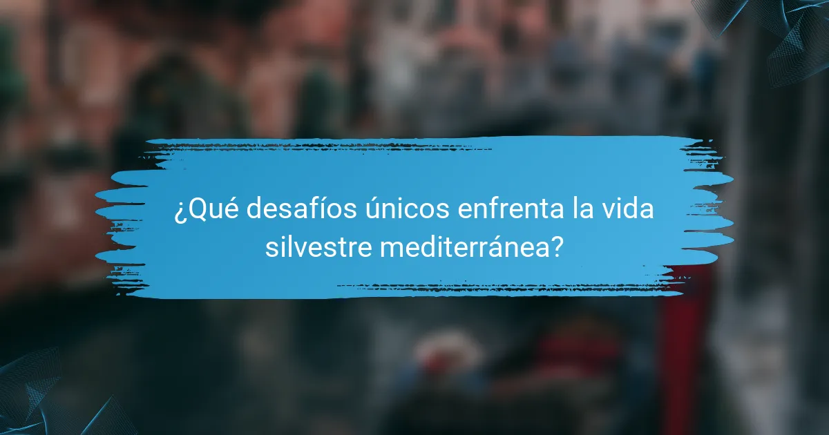 ¿Qué desafíos únicos enfrenta la vida silvestre mediterránea?