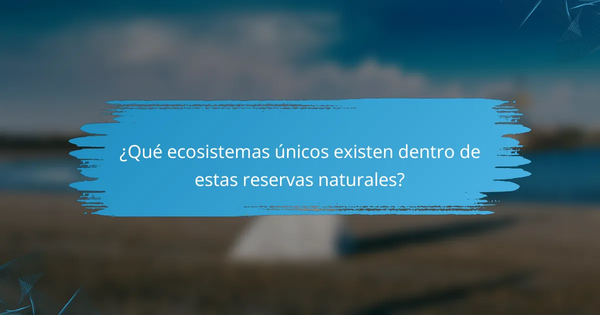 ¿Qué ecosistemas únicos existen dentro de estas reservas naturales?