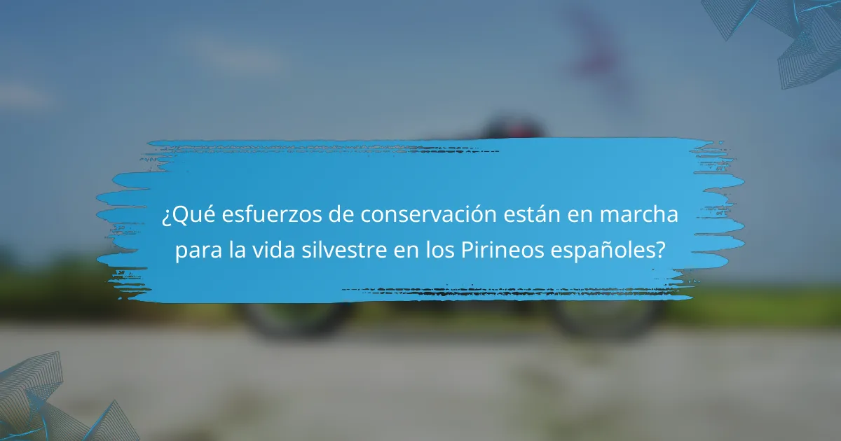 ¿Qué esfuerzos de conservación están en marcha para la vida silvestre en los Pirineos españoles?