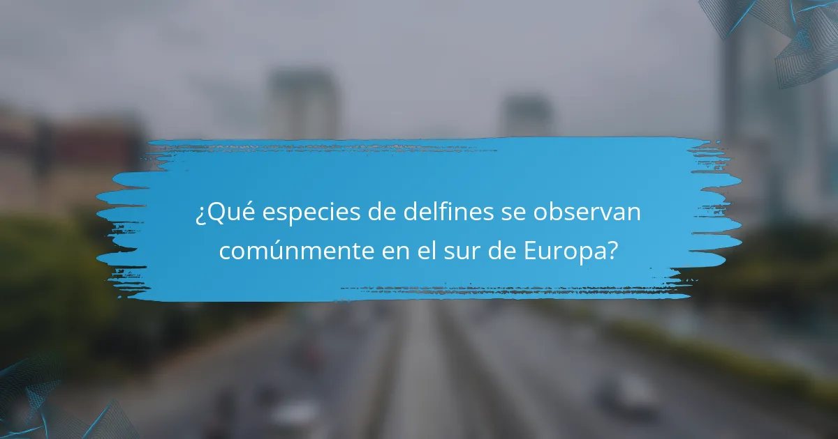¿Qué especies de delfines se observan comúnmente en el sur de Europa?