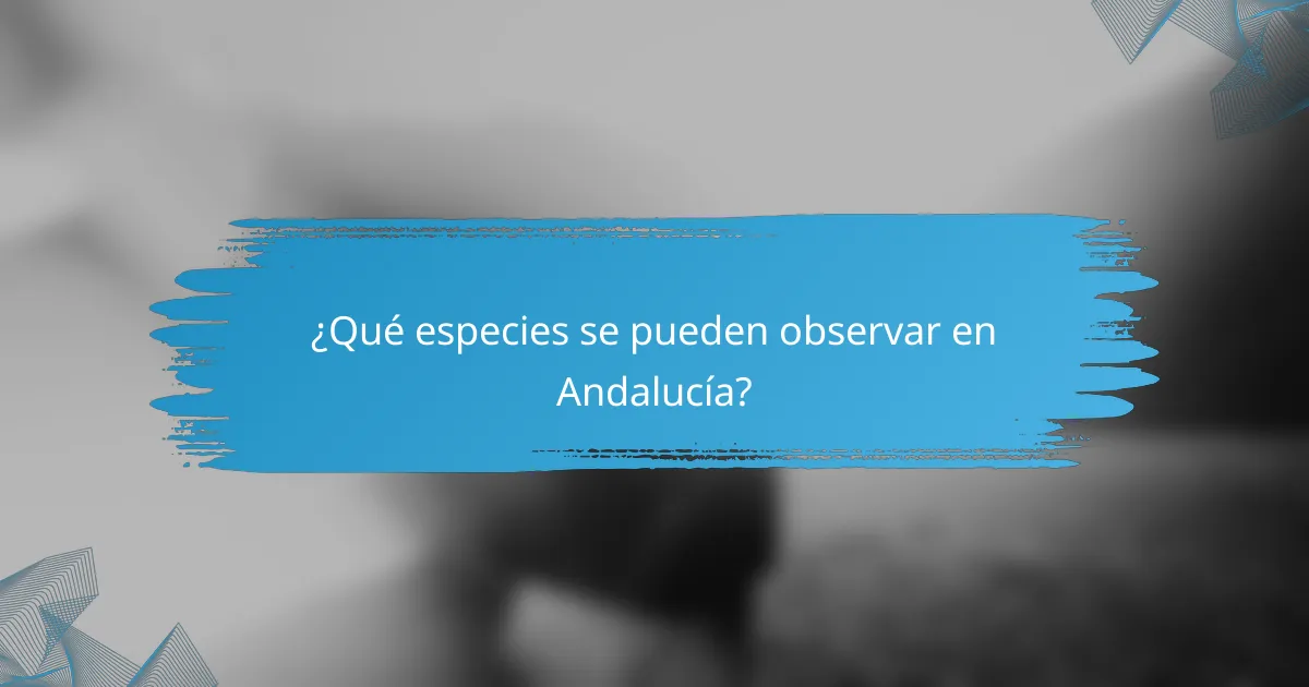 ¿Qué especies se pueden observar en Andalucía?