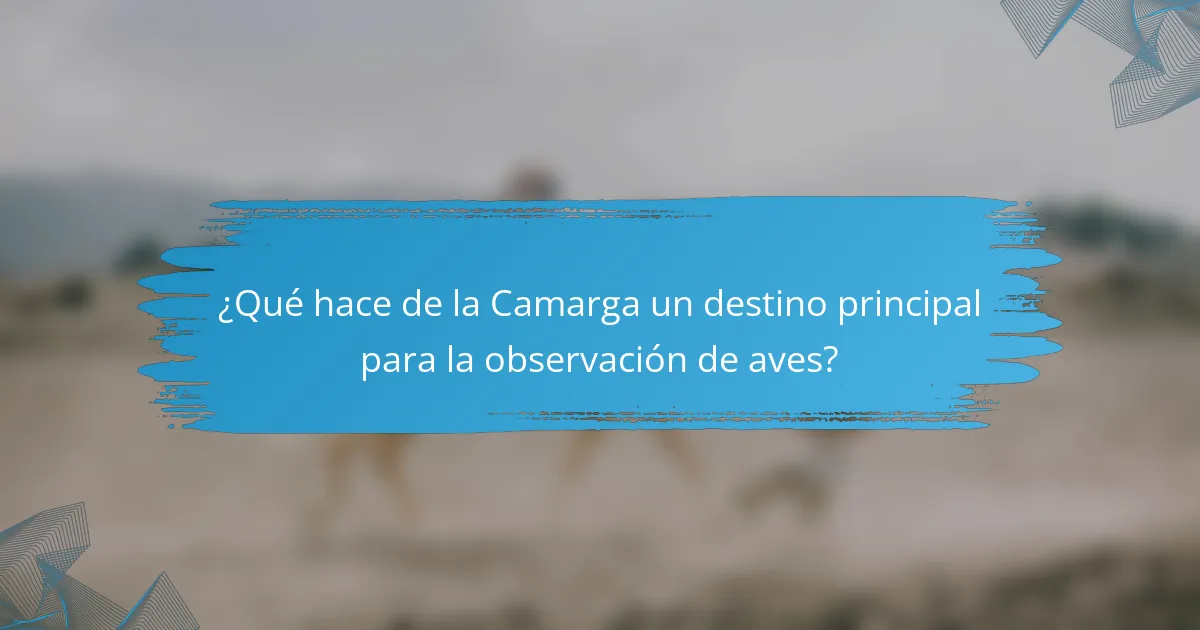 ¿Qué hace de la Camarga un destino principal para la observación de aves?